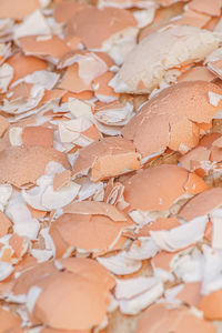 A lot of broken eggshells leftovers of boiled eggs