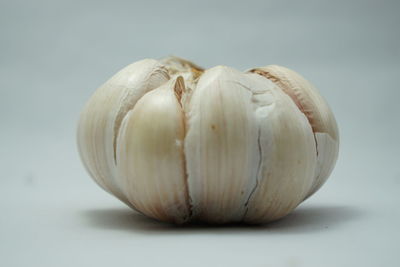 Close-up of garlic on white background