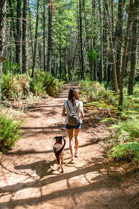 Rear view of woman with dog walking in forest