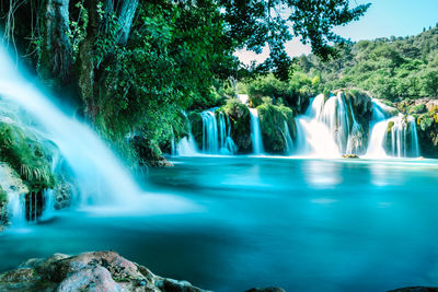 Scenic view of waterfall in forest