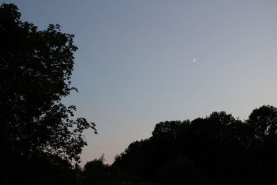 Low angle view of silhouette trees against sky at night