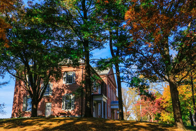 Low angle view of trees and buildings against sky