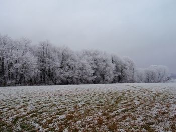 Frozen trees on landscape against sky