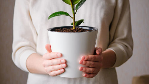 Midsection of woman holding potted plant