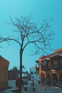 Bare tree by street and buildings against sky