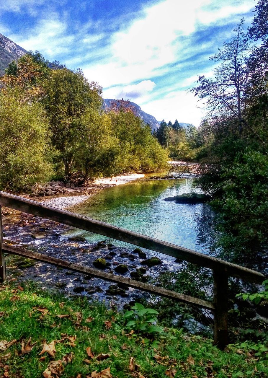 VIEW OF TREES IN CALM RIVER