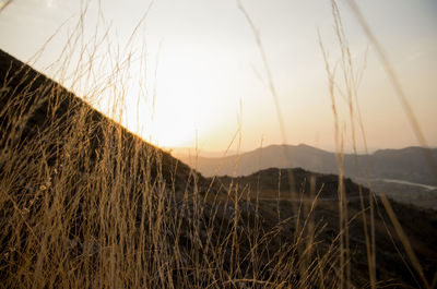 Scenic view of field against sky during sunset