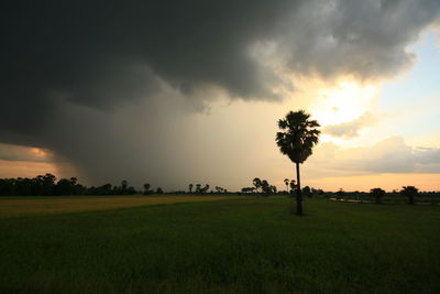 Scenic view of field against sky during sunset