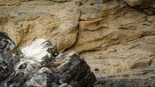 Low angle view of rock on mountain