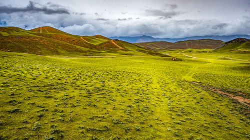 Scenic view of landscape against sky