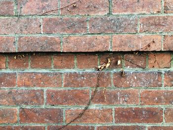Full frame shot of brick wall
