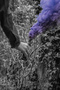 Close-up of hands on tree