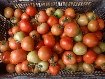 High angle view of fruits in basket for sale