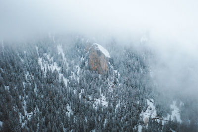 Aerial view of snow covered landscape
