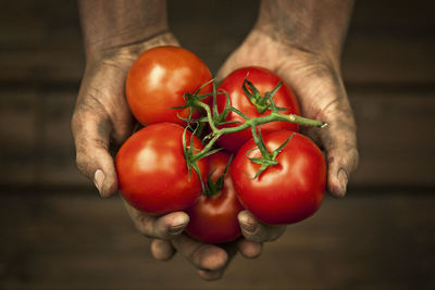 Hands holding tomatoes, studio shot