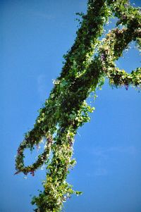 Low angle view of tree against sky