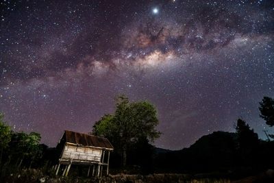 Low angle view of trees against sky at night