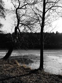 Bare tree by lake against sky