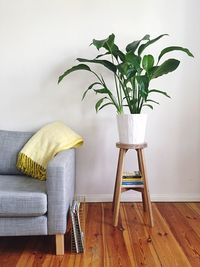 Cropped sofa and pot plant against the wall