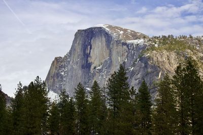 Low angle view of trees on mountain against sky