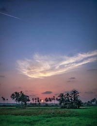 Scenic view of field against sky during sunset