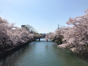 Bridge over canal against clear sky