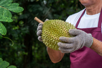 Close-up of man working on plant