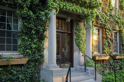 Potted plants on table by window of building