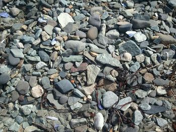 High angle view of pebbles on rocks