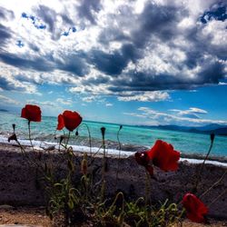 Scenic view of sea against cloudy sky