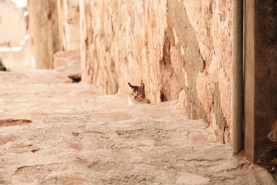 Mardin, the city of mesopotamia.