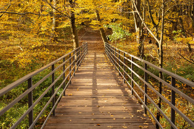 Wooden footbridge amidst trees in forest during autumn