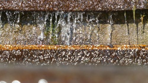 Close-up of wet water drops