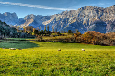 Scenic view of landscape against sky