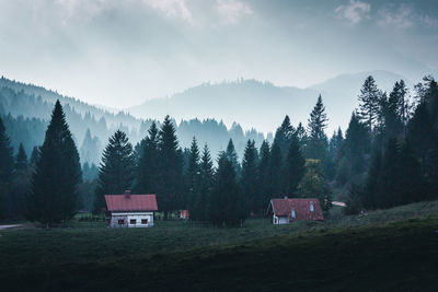 Scenic view of trees and buildings against sky