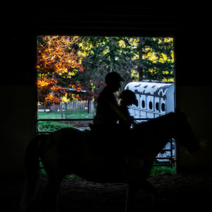 Rear view of woman riding horse during autumn