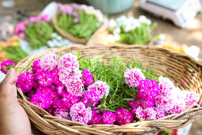 Close-up of hand holding pink flowers in basket
