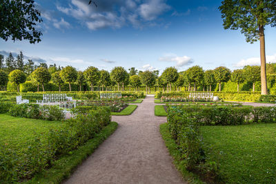 The view of the catherine park in tsarskoye selo