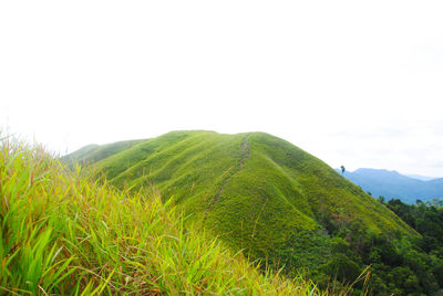 Scenic view of green landscape against sky