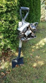 Plants growing on grassy field