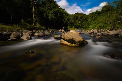 Stream flowing through rocks in forest against sky