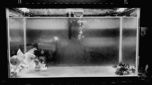 Reflection of people in glass window