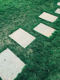 High angle view of grass on field