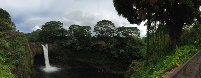 River flowing through forest