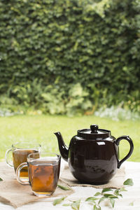 Close-up of teapot on field