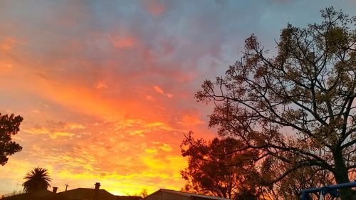 Low angle view of silhouette trees against sky during sunset