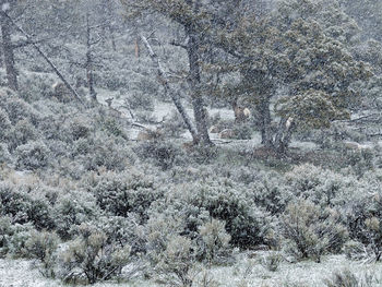 Full frame shot of white background