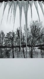 Bare trees on snow covered field against sky