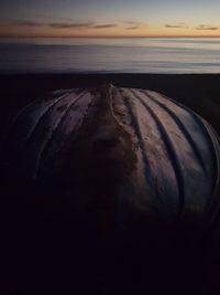 Close-up of sea shore against sunset sky