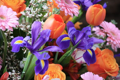 Close-up of purple flowers blooming outdoors